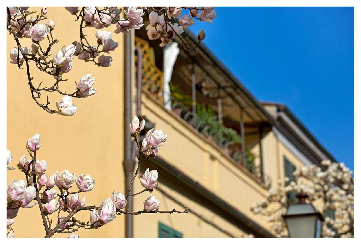 Casa San Girolamo Historic Flat With Cosy Terrace In Lucca'S City Centre 외부 사진