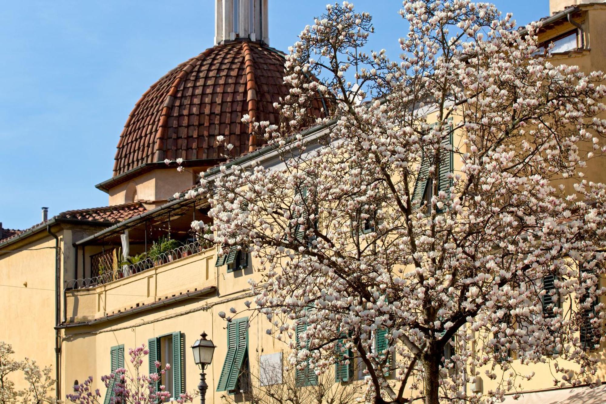 Casa San Girolamo Historic Flat With Cosy Terrace In Lucca'S City Centre 외부 사진